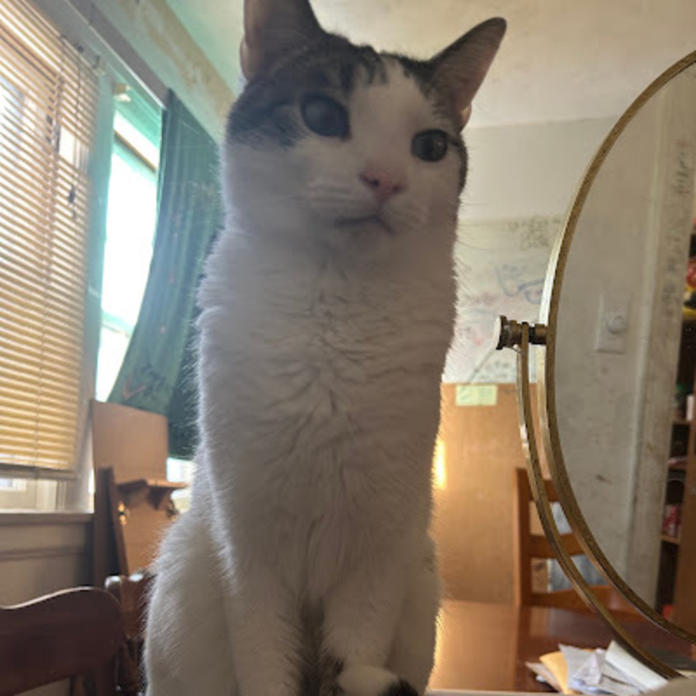 Meet your Posher, Elainey
